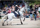 Pferd International 168